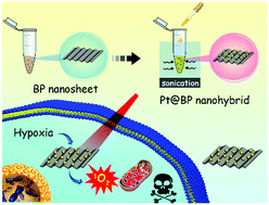 Graphical abstract: Marriage of artificial catalase and black phosphorus nanosheets for reinforced photodynamic antitumor therapy