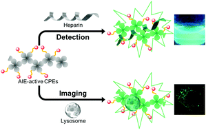 Graphical abstract: Photostable and biocompatible AIE-active conjugated polyelectrolytes for efficient heparin detection and specific lysosome labelling
