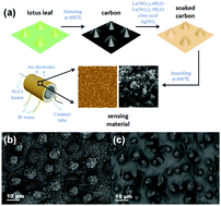 Graphical abstract: Facile lotus-leaf-templated synthesis and enhanced xylene gas sensing properties of Ag-LaFeO3 nanoparticles