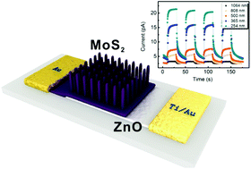Graphical abstract: Light-trapping enhanced ZnO–MoS2 core–shell nanopillar arrays for broadband ultraviolet-visible-near infrared photodetection