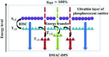Graphical abstract: High-performance hybrid white organic light-emitting diodes with simple emitting structures and low efficiency roll-off based on blue thermally activated delayed fluorescence emitters with bipolar transport characteristics