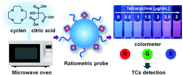 Graphical abstract: Microwave-assisted synthesis of cyclen functional carbon dots to construct a ratiometric fluorescent probe for tetracycline detection