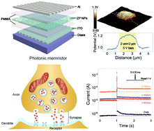 Graphical abstract: Phosphorene nano-heterostructure based memristors with broadband response synaptic plasticity