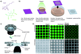 Graphical abstract: Effect of processing conditions on additive DISC patterning of P3HT films