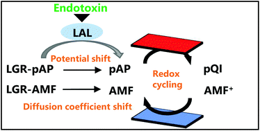 Graphical abstract: A highly sensitive endotoxin sensor based on redox cycling in a nanocavity