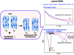 Graphical abstract: Proton spin relaxation study with pulsed NMR on the plasticization of Na+ ion-selective electrode membranes prepared from PVCs with different degrees of polymerization