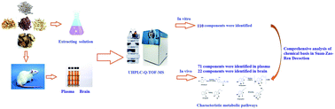 Graphical abstract: A systematic data screening strategy for comprehensive characterization of chemical components in Suan-Zao-Ren decoction and their metabolic profiles in the plasma and brain of rats using ultra high performance liquid chromatography quadrupole time-of-flight mass spectrometry