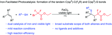 Graphical abstract: Three-component difluoroalkylation–thiolation of alkenes by iron-facilitated visible-light photoredox catalysis
