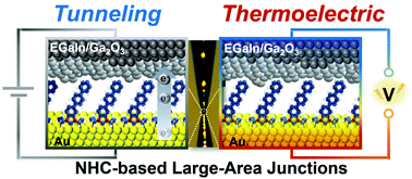 Graphical abstract: Tunneling and thermoelectric characteristics of N-heterocyclic carbene-based large-area molecular junctions