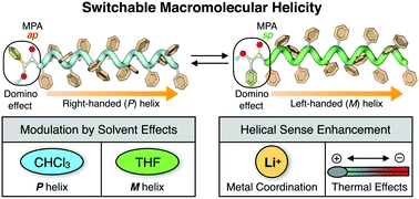 Graphical abstract: Macromolecular helicity control of poly(phenyl isocyanate)s with a single stimuli-responsive chiral switch
