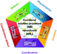 Graphical abstract: Tailoring the physicochemical properties of solution-processed transition metal dichalcogenides via molecular approaches