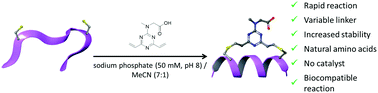 Graphical abstract: Macrocyclisation and functionalisation of unprotected peptides via divinyltriazine cysteine stapling