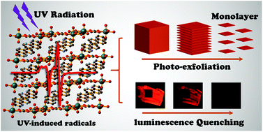 Graphical abstract: Photo-exfoliation of a highly photo-responsive two-dimensional metal–organic framework
