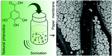 Graphical abstract: Liquid metal dispersion by self-assembly of natural phenolics