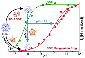 Graphical abstract: Cooperative enhancement of antibacterial activity of sanguinarine drug through p-sulfonatocalix[6]arene functionalized silver nanoparticles