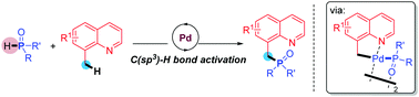 Graphical abstract: Palladium(ii)-catalyzed oxidative C(sp3)–P bond formation via C(sp3)–H bond activation
