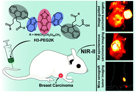 Graphical abstract: A bright NIR-II fluorescent probe for breast carcinoma imaging and image-guided surgery