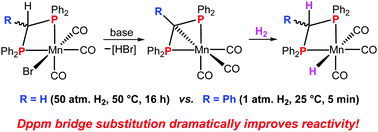 Graphical abstract: Bis[diphenylphosphino]methane and its bridge-substituted analogues as chemically non-innocent ligands for H2 activation