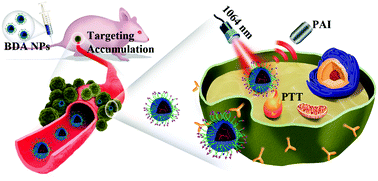Graphical abstract: Donor–acceptor conjugated polymer-based nanoparticles for highly effective photoacoustic imaging and photothermal therapy in the NIR-II window