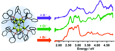 Graphical abstract: Hydride, chloride, and bromide show similar electronic effects in the Au9(PPh3)83+ nanocluster