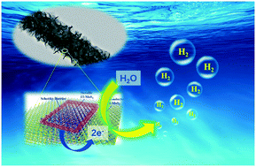 Graphical abstract: In situ synthesis of edge-enriched MoS2 hierarchical nanorods with 1T/2H hybrid phases for highly efficient electrocatalytic hydrogen evolution