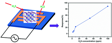Graphical abstract: A silver nanoparticle-anchored UiO-66(Zr) metal–organic framework (MOF)-based capacitive H2S gas sensor