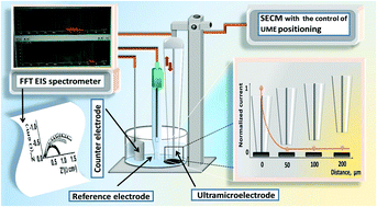 Graphical abstract: Redox-probe-free scanning electrochemical microscopy combined with fast Fourier transform electrochemical impedance spectroscopy