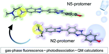 Graphical abstract: Protomers of DNA-binding dye fluoresce different colours: intrinsic photophysics of Hoechst 33258
