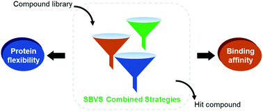 Graphical abstract: Combined strategies in structure-based virtual screening