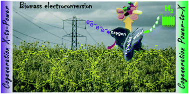 Graphical abstract: Recent advances in the electrooxidation of biomass-based organic molecules for energy, chemicals and hydrogen production