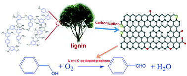 Graphical abstract: Kraft lignin derived S and O co-doped porous graphene for metal-free benzylic alcohol oxidation