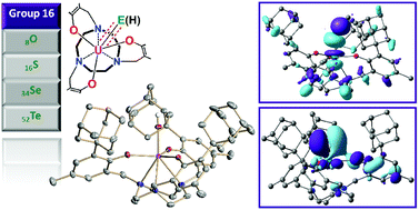 Graphical abstract: A complete series of uranium(iv) complexes with terminal hydrochalcogenido (EH) and chalcogenido (E) ligands E = O, S, Se, Te