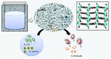 Graphical abstract: Copper(ii)-based coordination polymer nanofibers as a highly effective antibacterial material with a synergistic mechanism