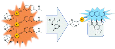 Graphical abstract: Aggregation induced emission of a new naphthyridine-ethynyl–gold(i) complex as a potential tool for sensing guanosine nucleotides in aqueous media