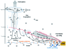 Graphical abstract: Natural and anthropogenic sources of bromoform and dibromomethane in the oceanographic and biogeochemical regime of the subtropical North East Atlantic