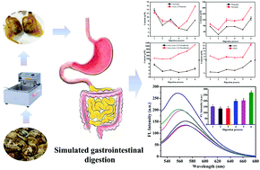 Graphical abstract: Formation and disappearance of aldehydes during simulated gastrointestinal digestion of fried clams