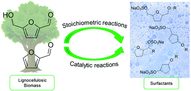 Graphical abstract: Anionic surfactants based on intermediates of carbohydrate conversion