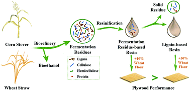 Graphical abstract: The direct transformation of bioethanol fermentation residues for production of high-quality resins