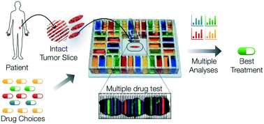 Graphical abstract: A microfluidic platform for functional testing of cancer drugs on intact tumor slices