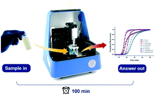Graphical abstract: A self-contained and fully integrated fluidic cassette system for multiplex nucleic acid detection of bacteriuria