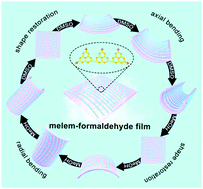 Graphical abstract: Stimuli-responsive anisotropic actuation of melem-formaldehyde polymer