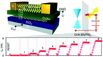Graphical abstract: An asymmetric hot carrier tunneling van der Waals heterostructure for multibit optoelectronic memory