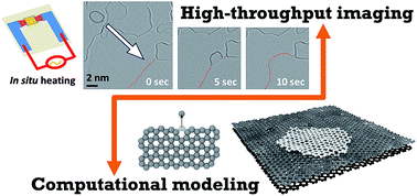 Graphical abstract: Nanocrystalline graphene at high temperatures: insight into nanoscale processes