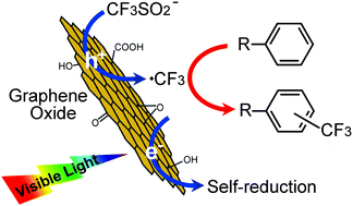 Graphical abstract: Visible-light photocatalytic trifluoromethylation of arenes using graphene oxide as a metal-free photocatalyst