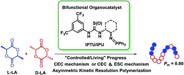 Graphical abstract: Isoselective ring-opening polymerization and asymmetric kinetic resolution polymerization of rac-lactide catalyzed by bifunctional iminophosphorane–thiourea/urea catalysts