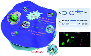 Graphical abstract: Tumor microenvironment responsive mesoporous silica nanoparticles for dual delivery of doxorubicin and chemodynamic therapy (CDT) agent