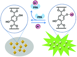 Graphical abstract: A luminescent MOF as a fluorescent sensor for the sequential detection of Al3+ and phenylpyruvic acid