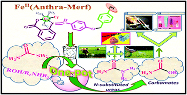 Graphical abstract: An efficient one-pot synthesis of industrially valuable primary organic carbamates and N-substituted ureas by a reusable Merrifield anchored iron(ii)-anthra catalyst [FeII(Anthra-Merf)] using urea as a sustainable carbonylation source