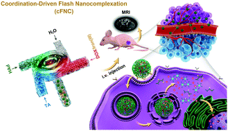Graphical abstract: Scalable fabrication of metal–phenolic nanoparticles by coordination-driven flash nanocomplexation for cancer theranostics