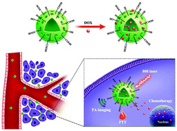Graphical abstract: Hollow mesoporous carbon nanospheres for imaging-guided light-activated synergistic thermo-chemotherapy